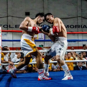 Untitled design (30)